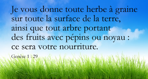 site de rencontre chrétien