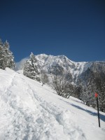 8-mars-2009 073