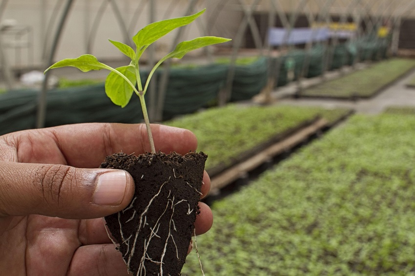 Le bio s’essouffle en Suisse en 2024